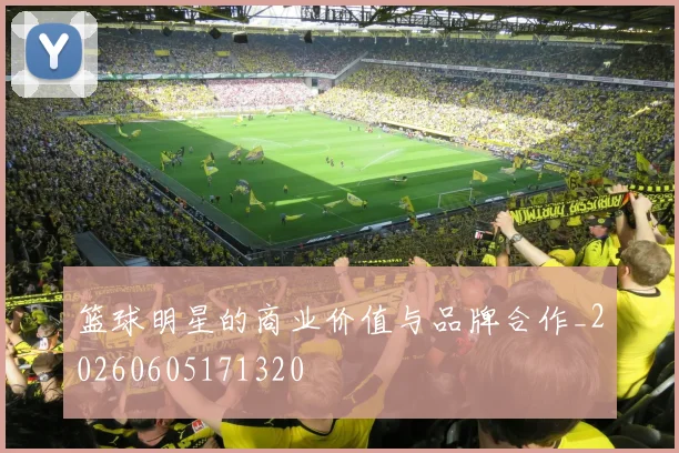 篮球明星的商业价值与品牌合作_20260605171320